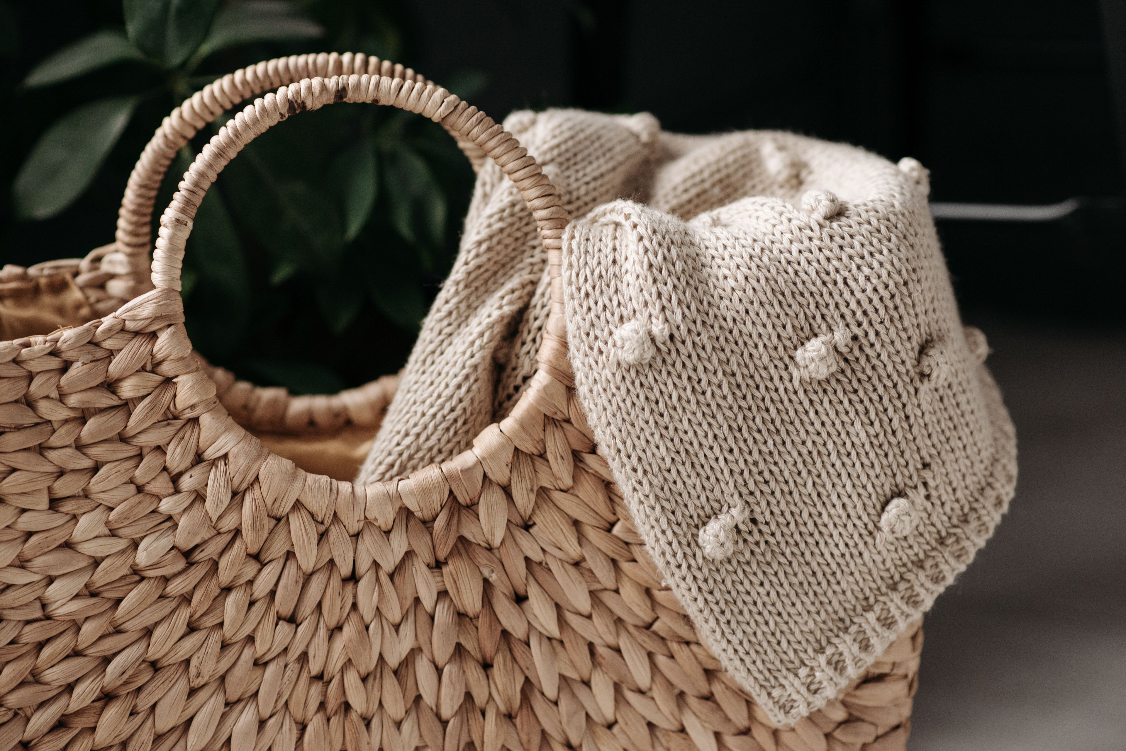 collection-banner-image